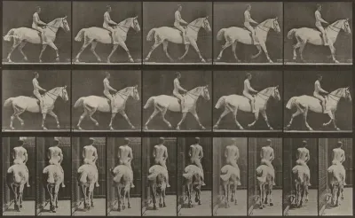 Plate Number 603. "Smith" trotting, saddled; rider nude