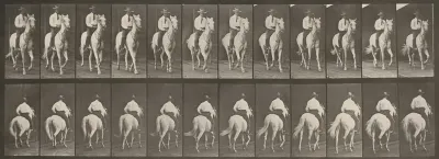 Plate Number 604. "Elberon" trotting, saddled