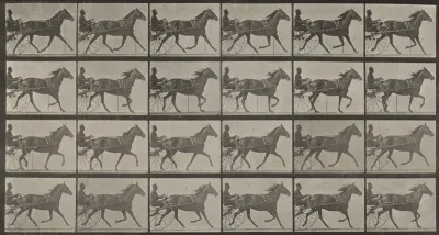 Plate Number 607. "Lizzie M." trotting, harnessed to sulky