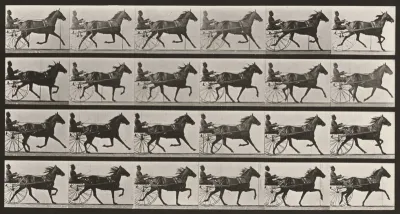 Plate Number 609. "Lizzie M." trotting, harnessed to sulky