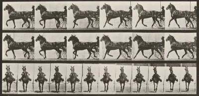 Plate Number 612. "Dercum" trotting, harnessed to sulky