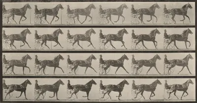 Plate Number 614. "Flode Holden" trotting, harnessed to sulky, breaking into a gallop