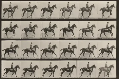 Plate Number 616. "Daisy" cantering, saddled