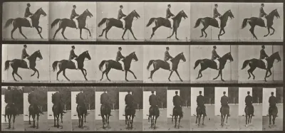Plate Number 619. "Middleton" cantering, saddled