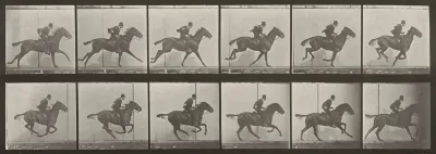 Plate Number 624. "Daisy" galloping, saddled