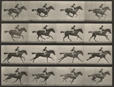 Plate Number 626. "Annie G." galloping