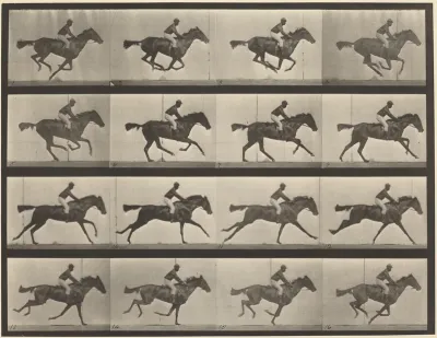 Plate Number 626. Gallop, thoroughbred bay mare, Annie G.