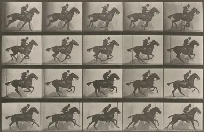 Plate Number 628. "Daisy" galloping