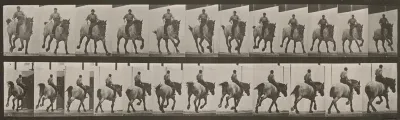 Plate Number 629. "Hansel" galloping, bareback