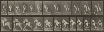 Plate Number 630. "Pandora" galloping, saddled