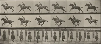 Plate Number 631. "Bouquet" galloping, saddled