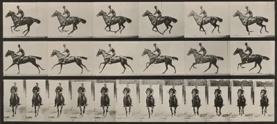 Plate Number 632. "Bouquet" galloping, saddled