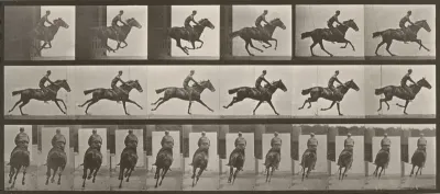 Plate Number 633. "Bouquet" galloping, saddled