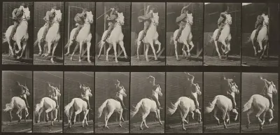 Plate Number 634. "Dan" galloping, saddled