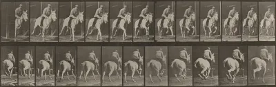 Plate Number 635. "Pandora" galloping, saddled
