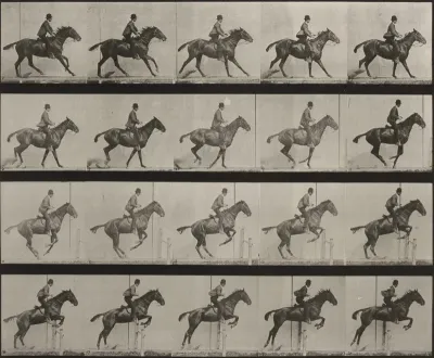 Plate Number 636. "Daisy" jumping a hurdle, saddled, preparing for the leap
