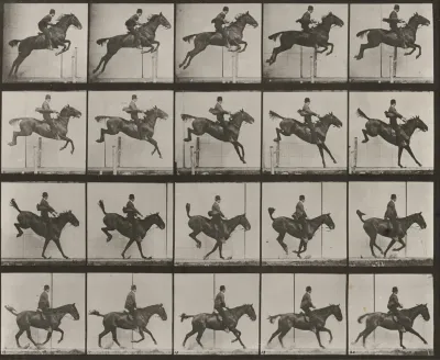 Plate Number 637. "Daisy" jumping a hurdle, saddled, clearing, landing and recovering