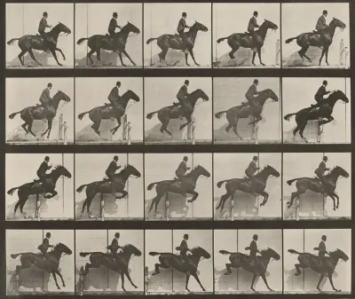 Plate Number 638. "Daisy" jumping a hurdle, saddled