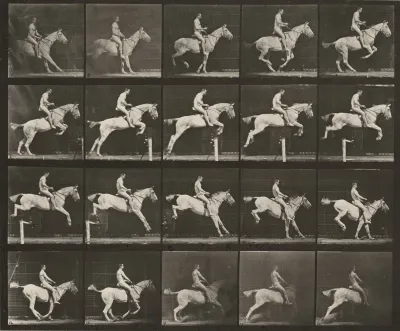 Plate Number 642. "Pandora" jumping a hurdle, saddled; rider nude