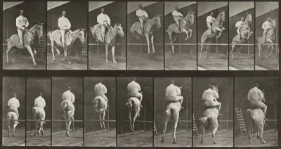 Plate Number 645. "Pandora" jumping a hurdle, saddled, clearing and landing