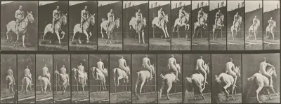 Plate Number 646. "Pandora" jumping a hurdle, saddled; rider nude