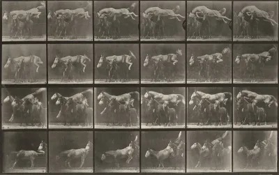 Plate Number 648. "Hornet" jumping over three horses