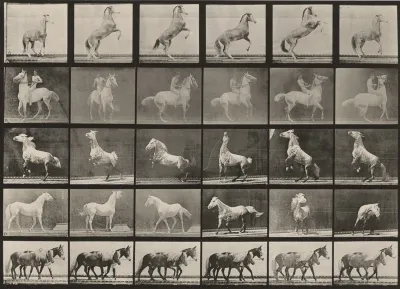 Plate Number 652. Horses rearing, etc.