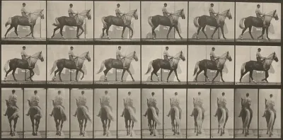 Plate Number 653. "Buckskin" walking, lame right front foot