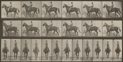 Plate Number 654. "Buckskin" walking, lame right front foot