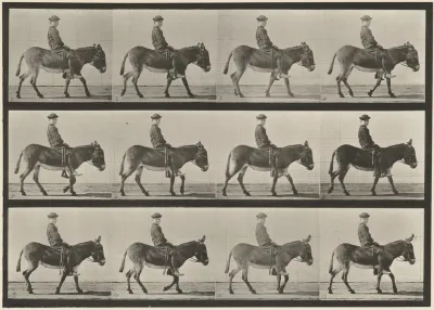 Plate Number 665. Ass; walking; bareback; a boy riding, Jennie