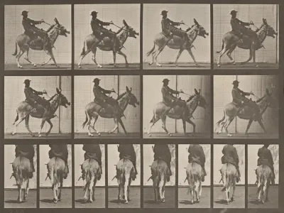 Plate Number 668. Ass; ambling; irregular; saddle; a boy riding, Zoo