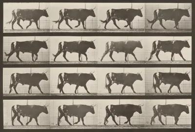 Plate Number 669. Ox; walking