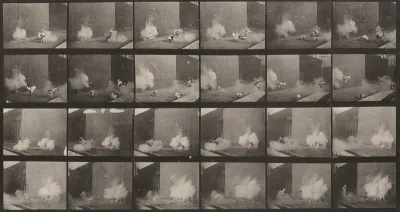 Plate Number 781. Chickens scared by a torpedo