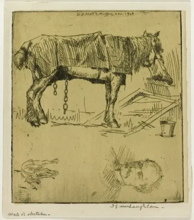 Plate of Sketches