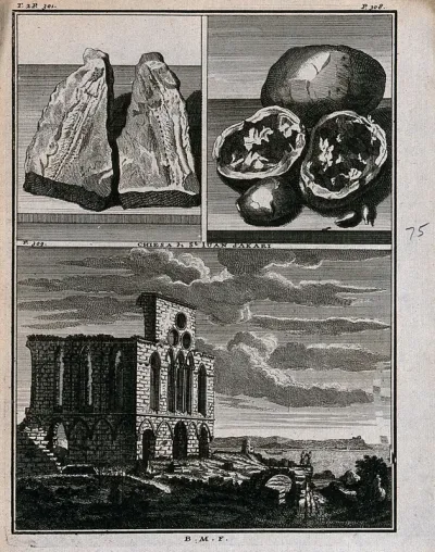 Plates of a cleft fossil, melons of stone and the ruined church of St