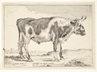 Plettet stud