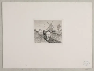Pløjning