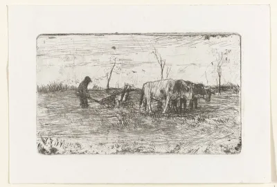 Ploegende ossen