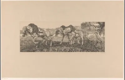 Ploegende paarden