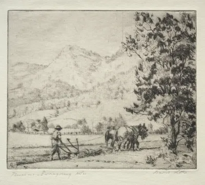Ploughing - Burragorang, New South Wales, Australia