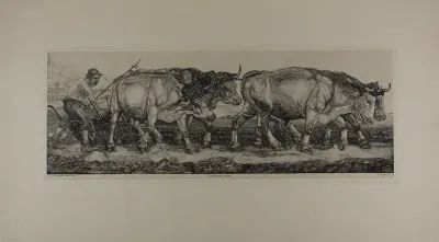 Plowing Oxen