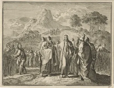 Plukken van koren op de sabbat