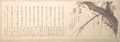 Plum Blossom