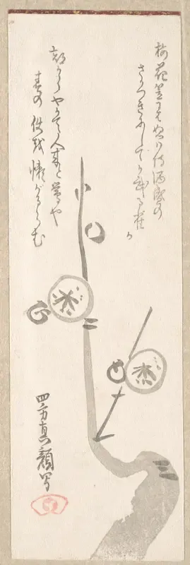 Plum Blossoms