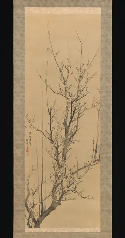 Plum Blossoms