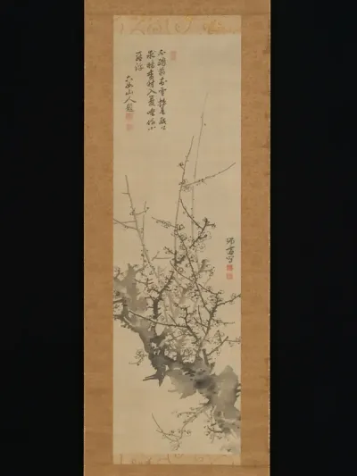 Plum Blossoms