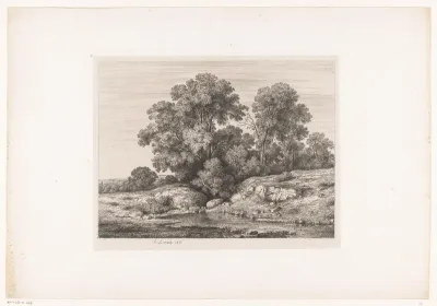 Poel aan de voet van een groep bomen