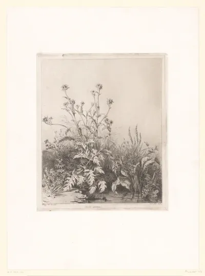 Poel met distel