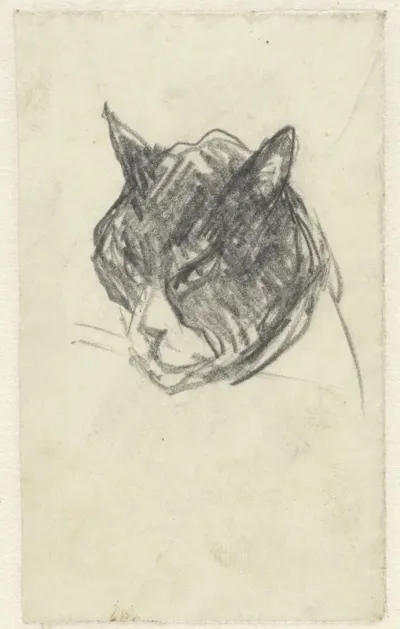 Poes