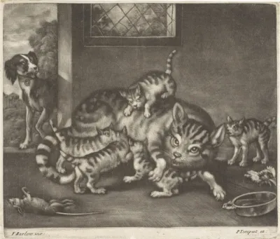 Poes met vijf jongen